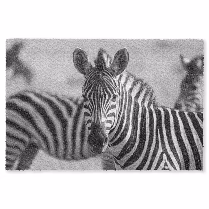 Fußmatte - Zebras - Schwarz - Weiß