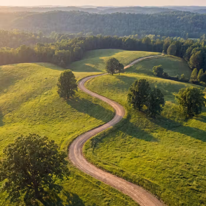 Tapete - Straße - Wiese - Natur - Grün