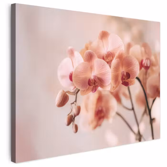 Leinwandbild - Orchidee - Blumen - Rosa - Blütenblätter