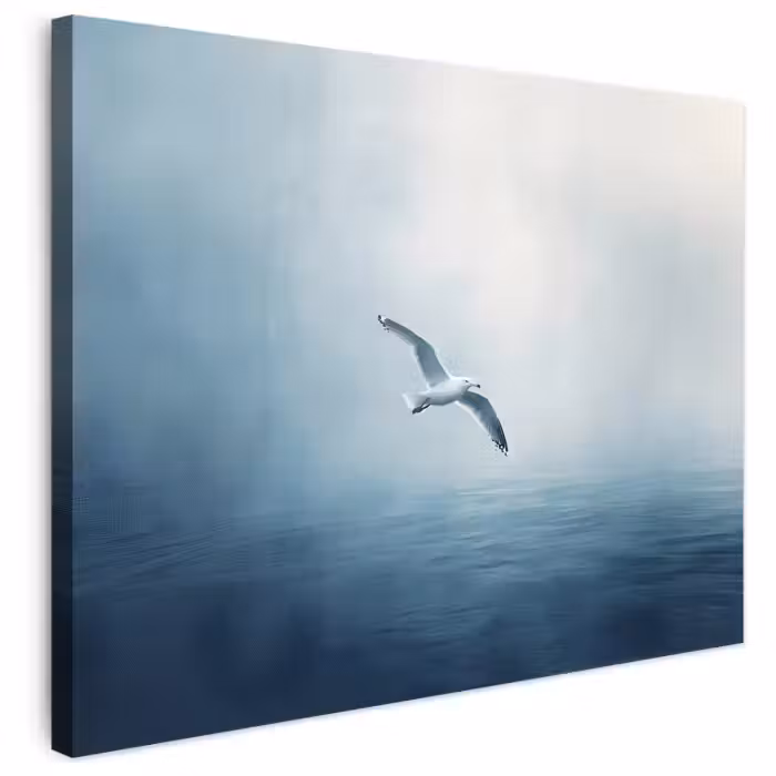 Leinwandbild - Möwe - Weiß - Meer - Neblig