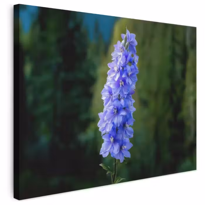 Leinwandbild - Blumen - Blau - Tannenbaum