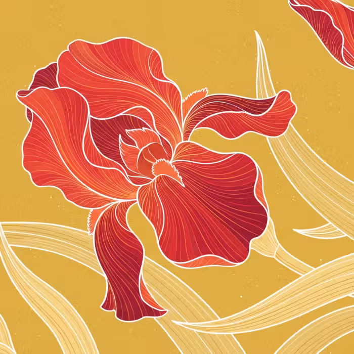 Tapete - Blumen – Illustration – Rot