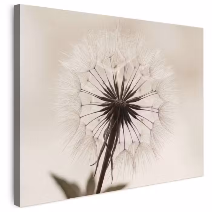 Leinwandbild - Pusteblume - Minimalistisch - Weiß