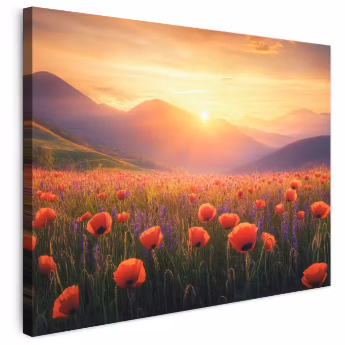 Leinwandbild - Landschaft - Sonnenuntergang - Blumenfeld