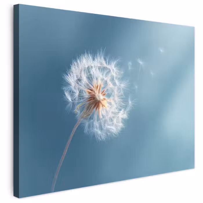 Leinwandbild - Löwenzahn - Wind - Blau