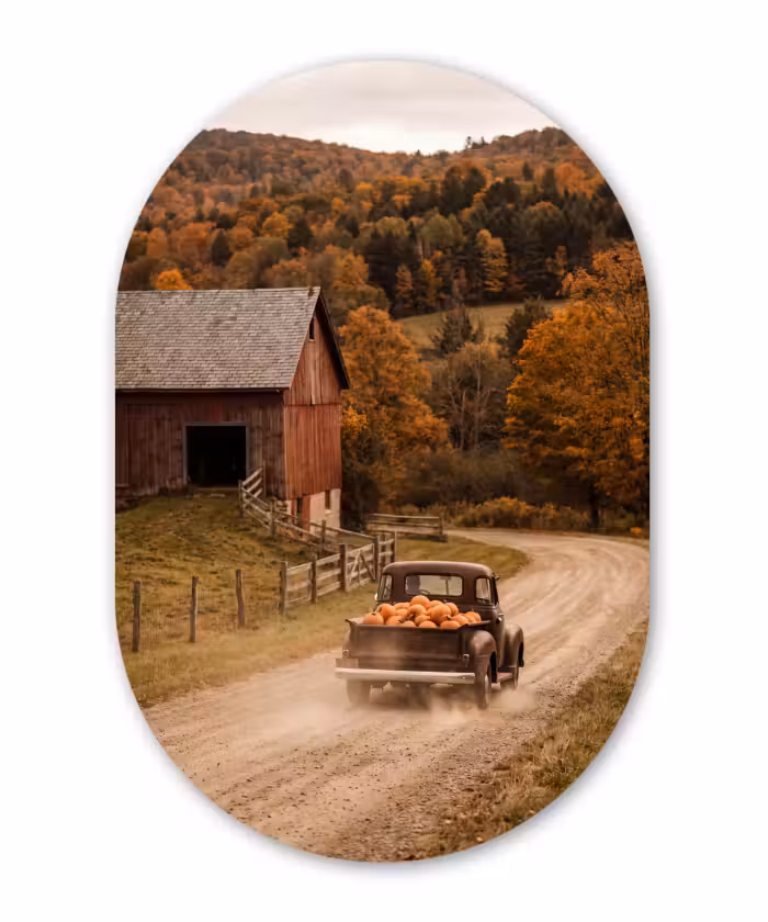 Glasbild Oval - Lkw – Kürbisse – Herbst