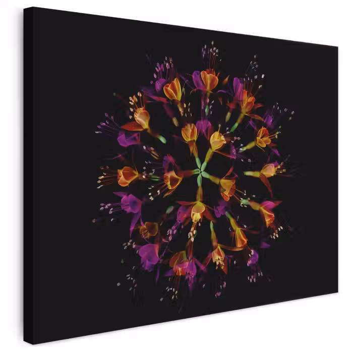 Leinwandbild - Blumen - Orange - Rosa - Schwarz