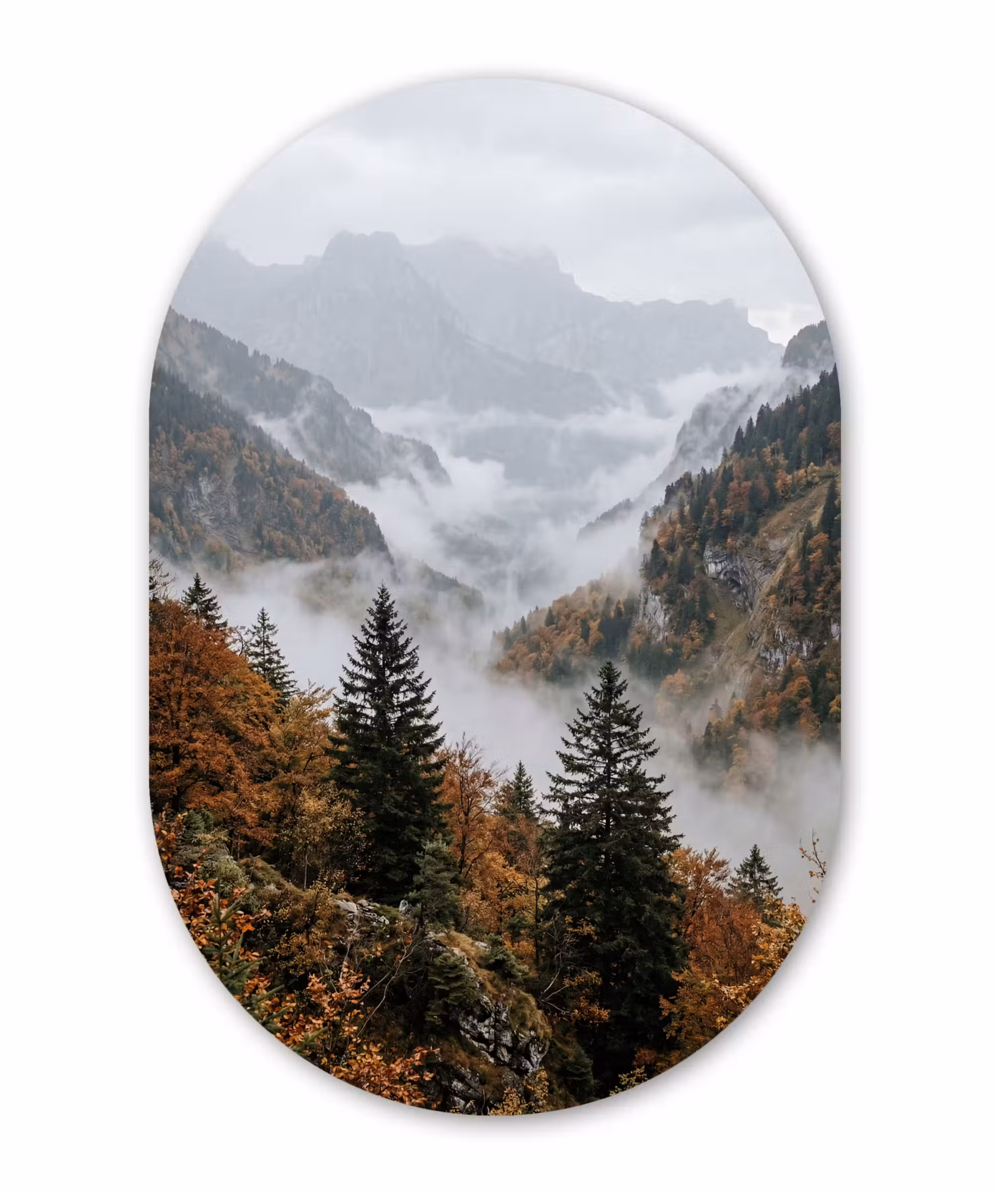 Alu-Dibond-Bild Oval - Berge - Tal - Nebel - Herbst - Natur