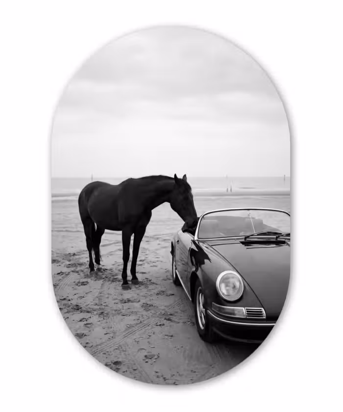 Alu-Dibond-Bild Oval - Pferd - Auto - Schwarz - Weiß