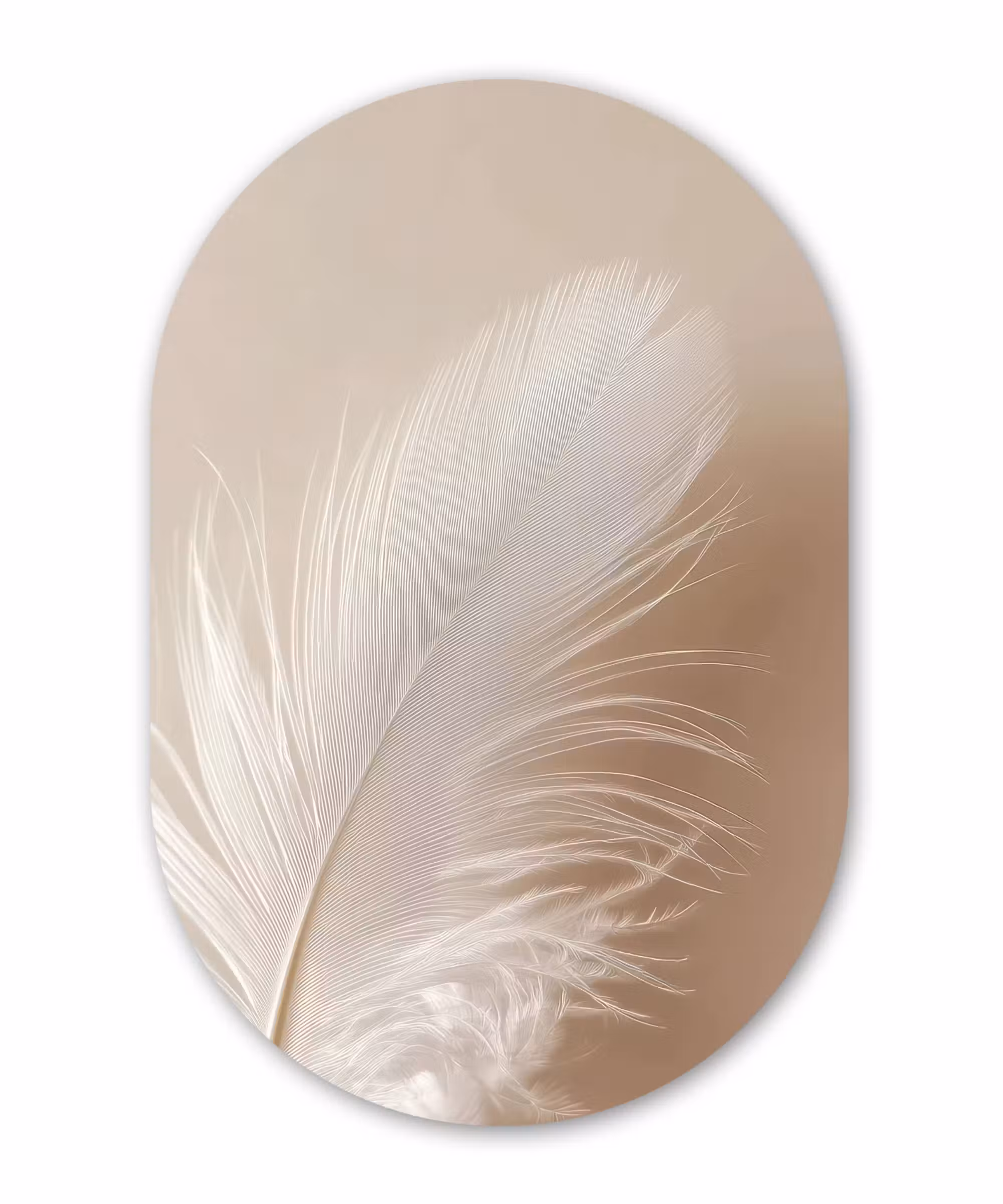 Glasbild Oval - Feder - Minimalistisch - Rosa