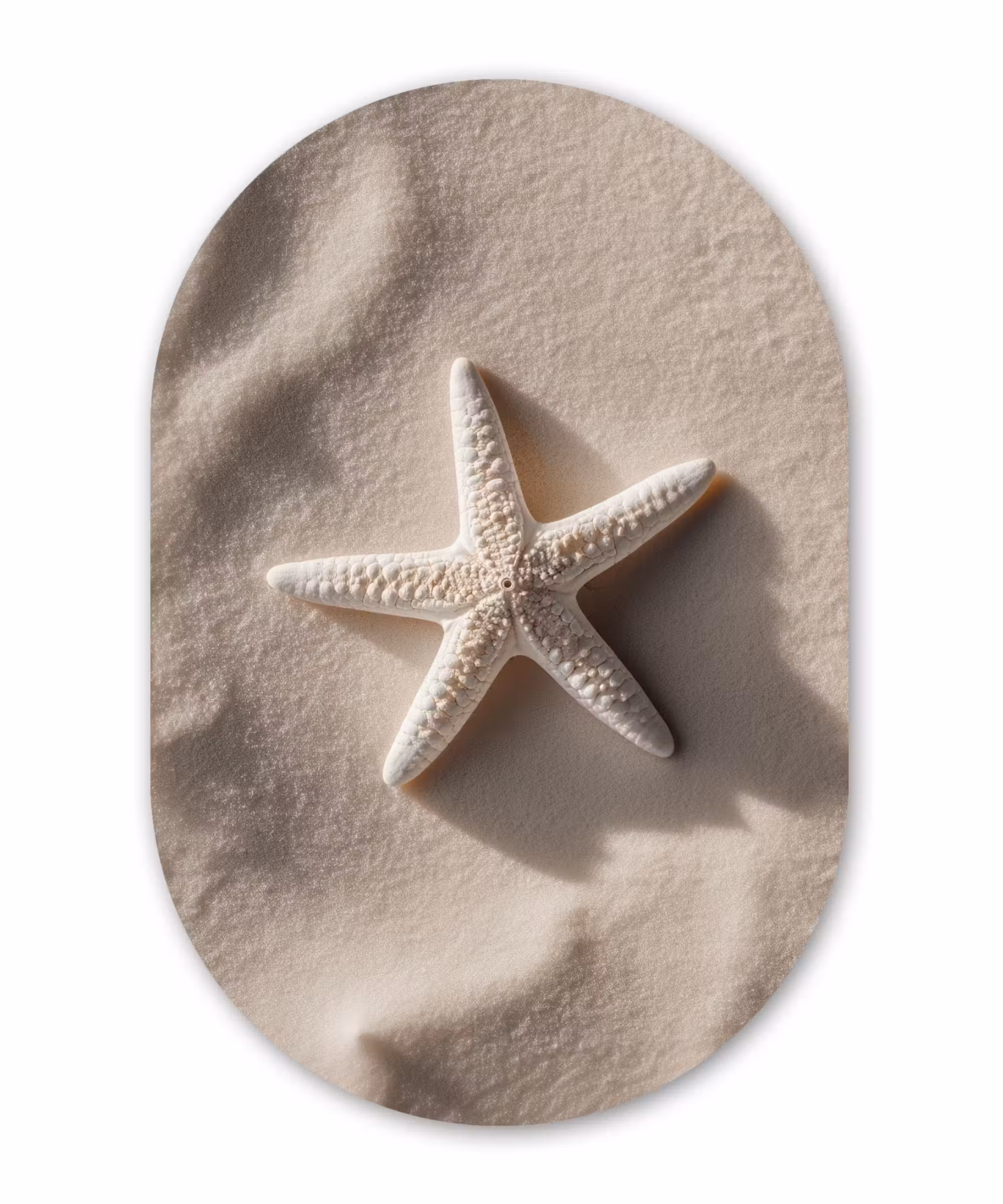 Glasbild Oval - Strand - Seestern - Sand - Beige