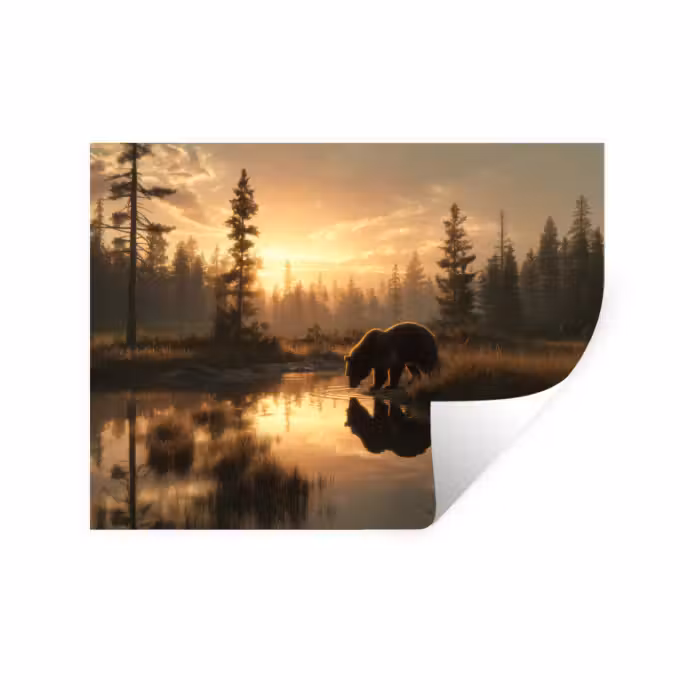 Wandtattoo – Bär - Wasser - Wald - Morgenlicht