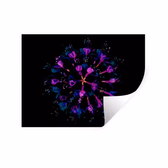 Wandtattoo – Blume - Lila - Blau - Makro - Schwarz