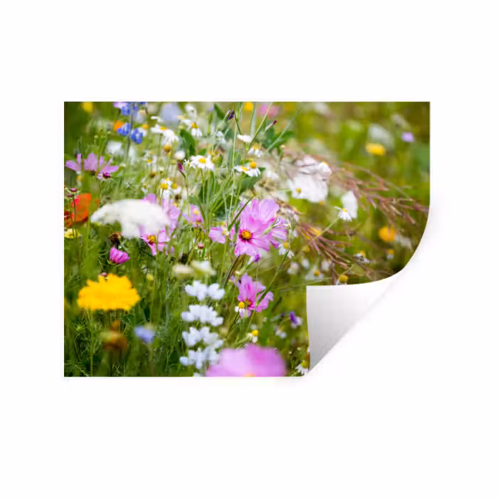 Wandtattoo – Blumen - Natur - Grün - Gras - Lila - Weiß