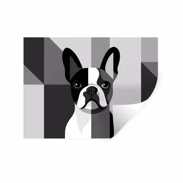 Wandtattoo – Bulldogge - Schwarz - Abstrakt - Flugzeuge