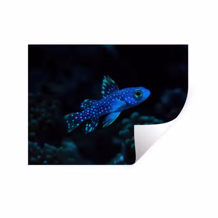 Wandtattoo – Fische - Punkte - Koralle - Blau