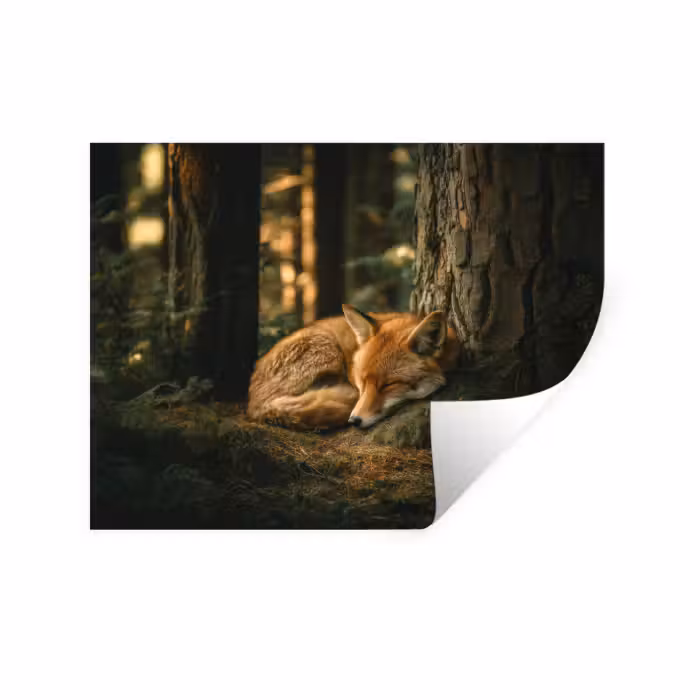 Wandtattoo – Fuchs - Wald - Schlaf