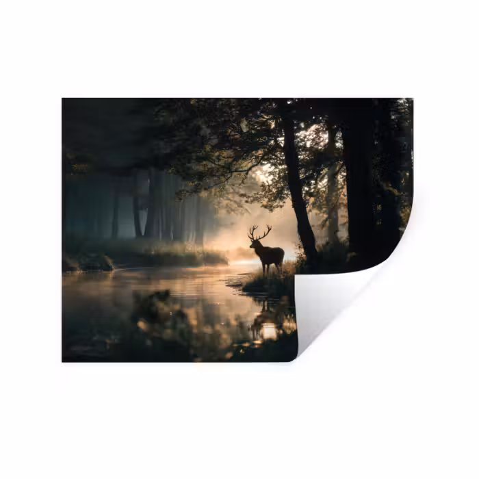 Wandtattoo – Hirsche - Waldbach - Mystisch