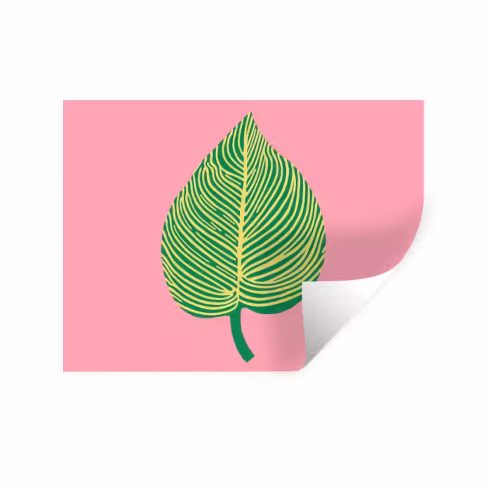 Wandtattoo – Illustration - Blatt - Minimalistisch - Grün