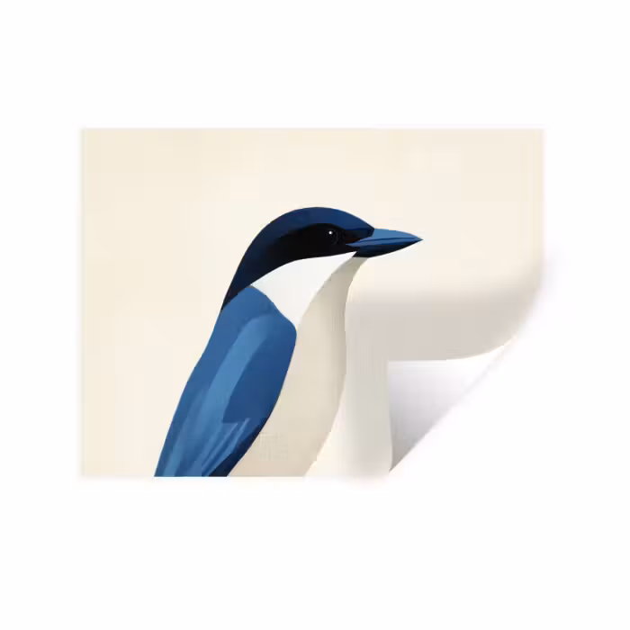 Wandtattoo – Illustration - Blau - Vogel