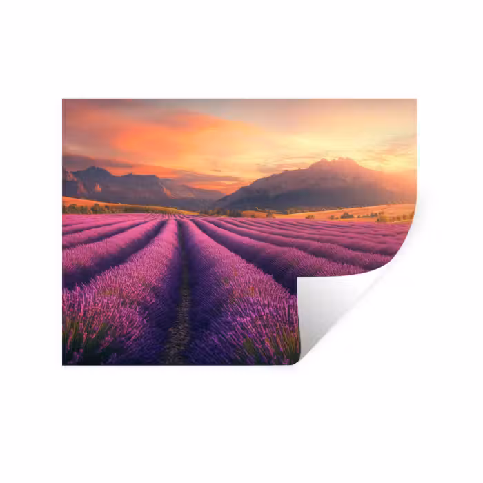 Wandtattoo – Lavendelfeld - Sonnenuntergang - Lila