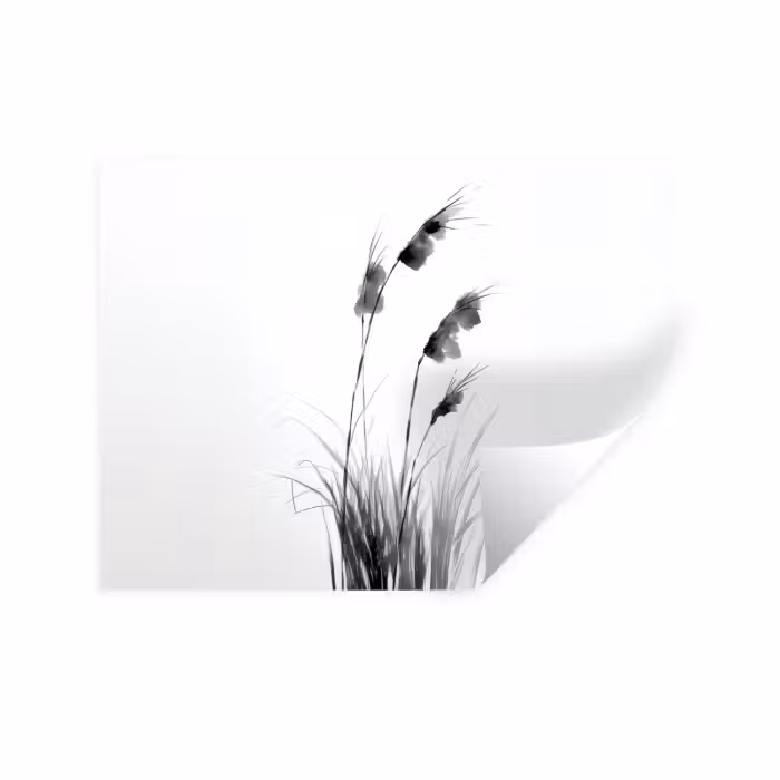 Wandtattoo – Minimalistisch - Stängel - Weiß