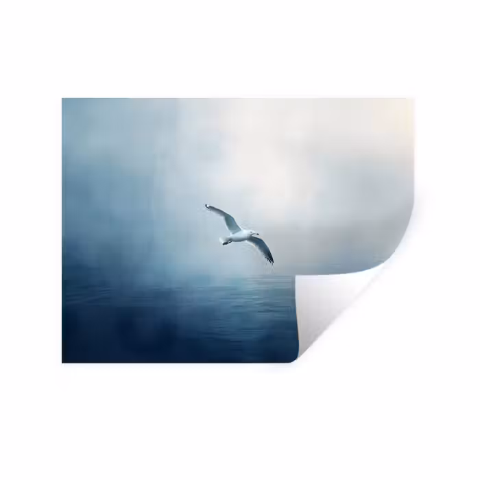 Wandtattoo – Möwe - Weiß - Meer - Neblig