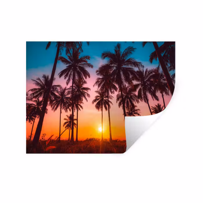 Wandtattoo – Palme - Sonnenuntergang - Horizont - Strand - Orange - Rosa