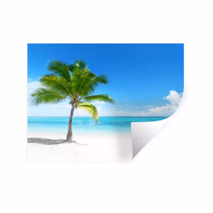 Wandtattoo – Palme - Strand - Meer - Sommer