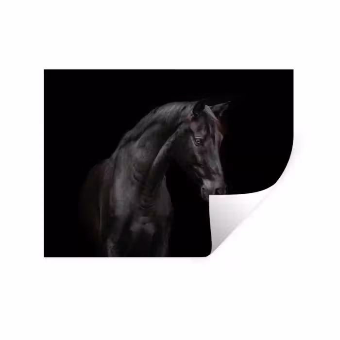 Wandtattoo – Pferd - Tiere - Schwarz - Porträt