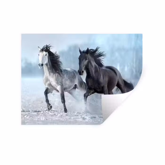 Wandtattoo – Pferde - Winter - Tiere - Natur - Schnee