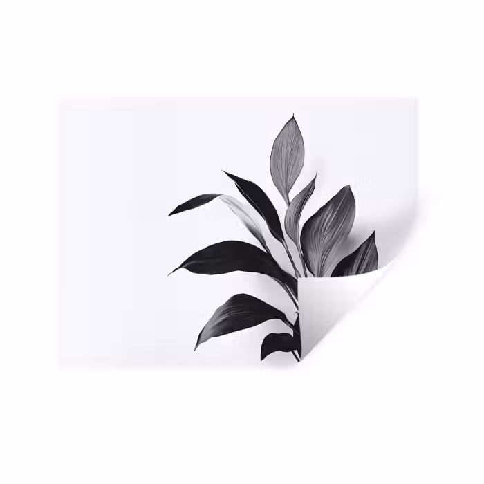 Wandtattoo – Pflanze - Blätter - Minimalistisch - Schwarz