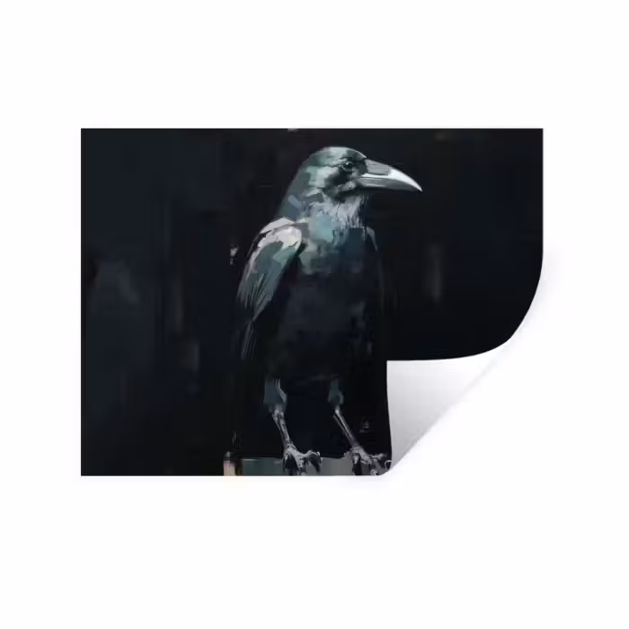 Wandtattoo – Rabe - Vögel - Schwarz