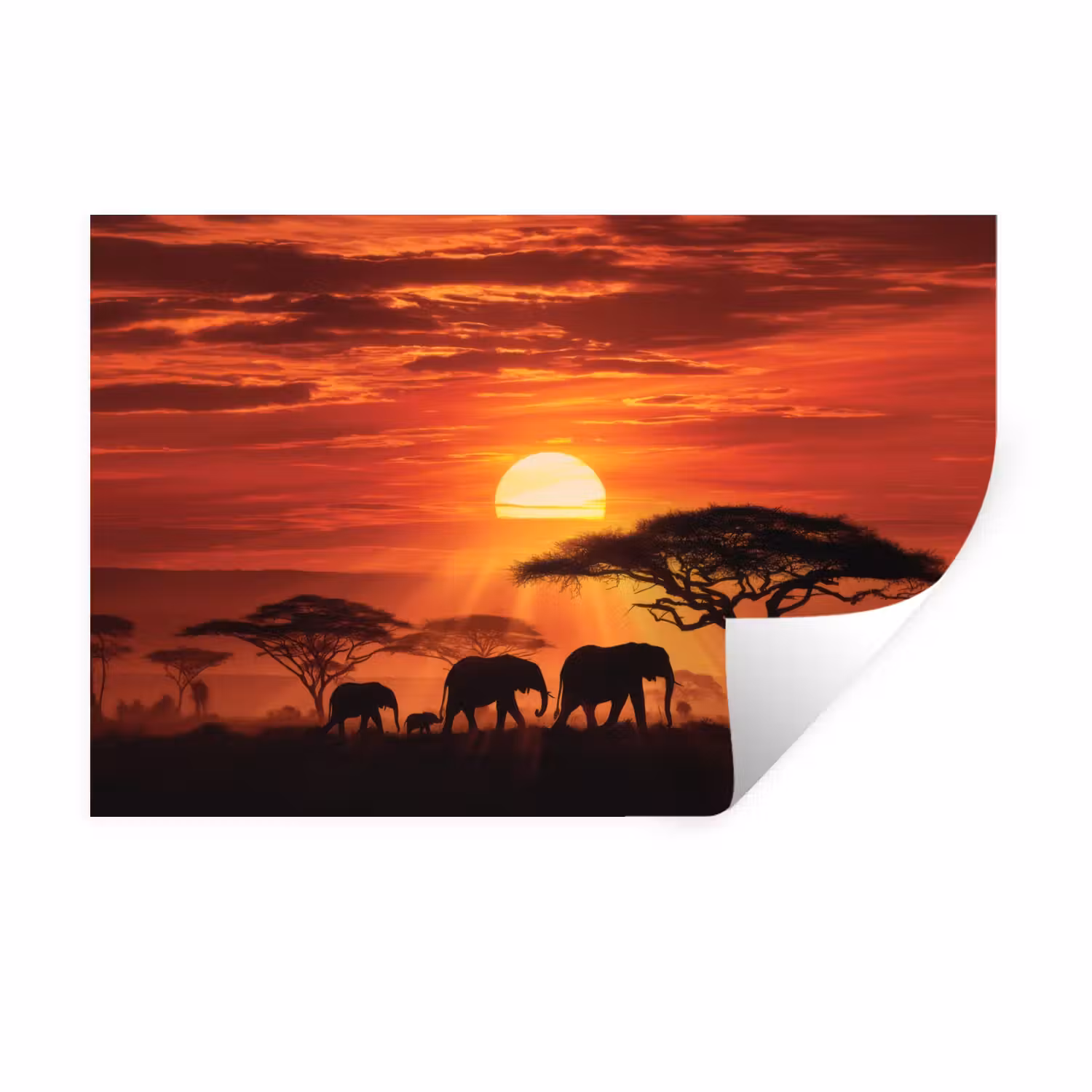 Wandtattoo – Savanne - Elefanten - Sonnenuntergang