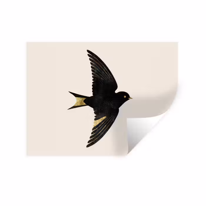 Wandtattoo – Schwarze Schwalbe - Goldfarbene Akzente - Heller Hintergrund