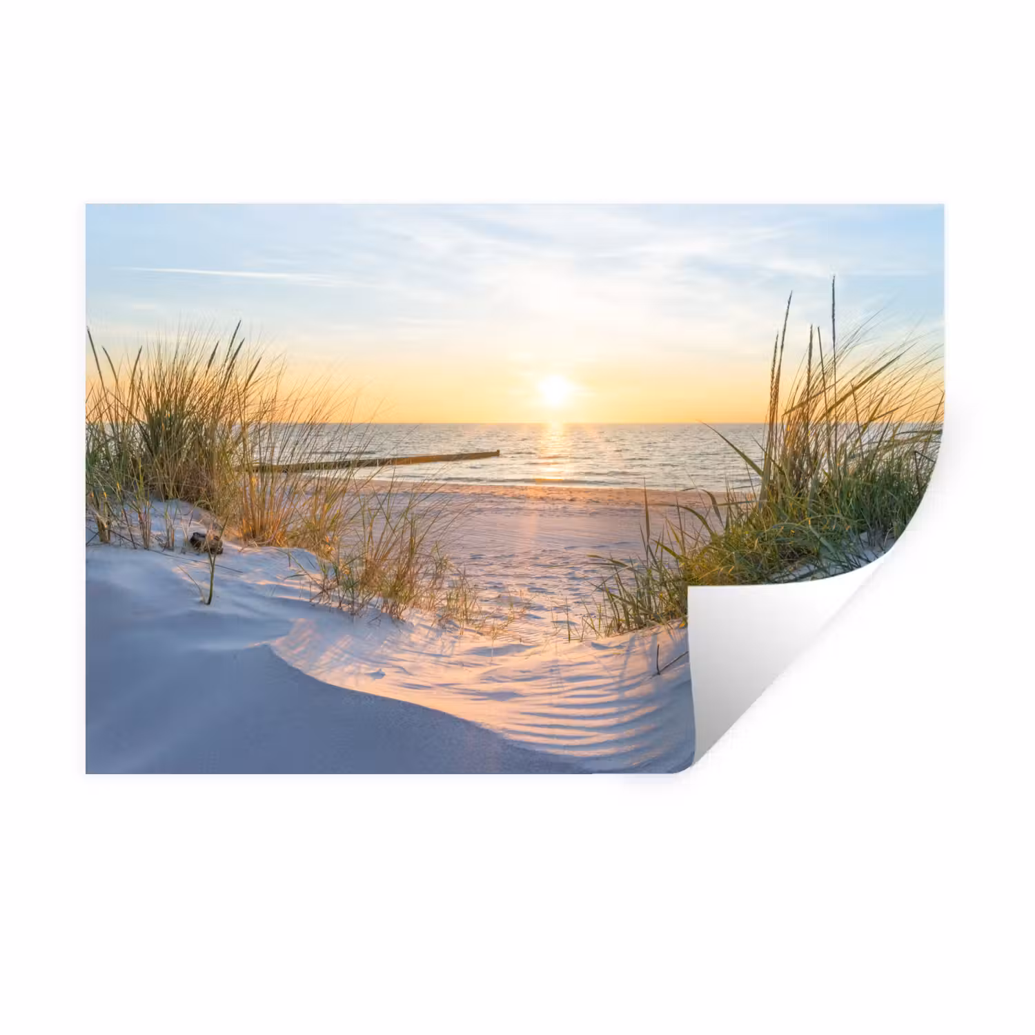 Wandtattoo – Strand - Sonne - Düne - Gras - Sand - Horizont