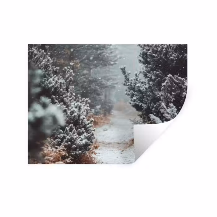 Wandtattoo – Wald - Winter - Bäume - Natur - Weg - Schnee