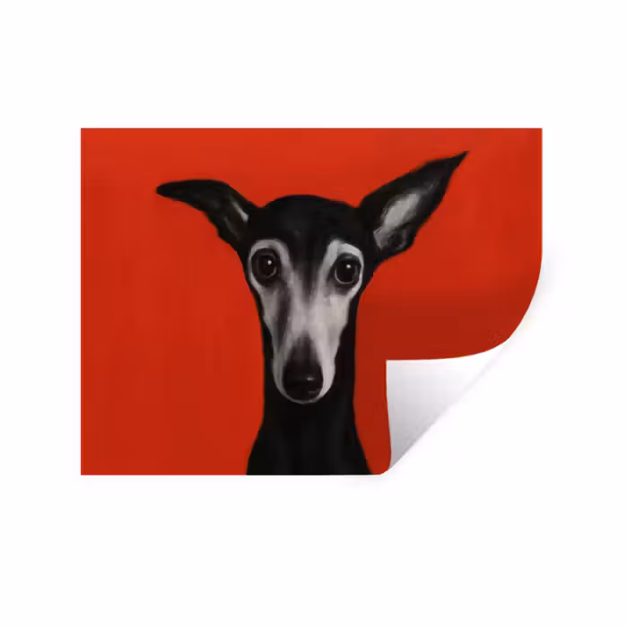 Wandtattoo – Windhund - Minimalistisch - Rot