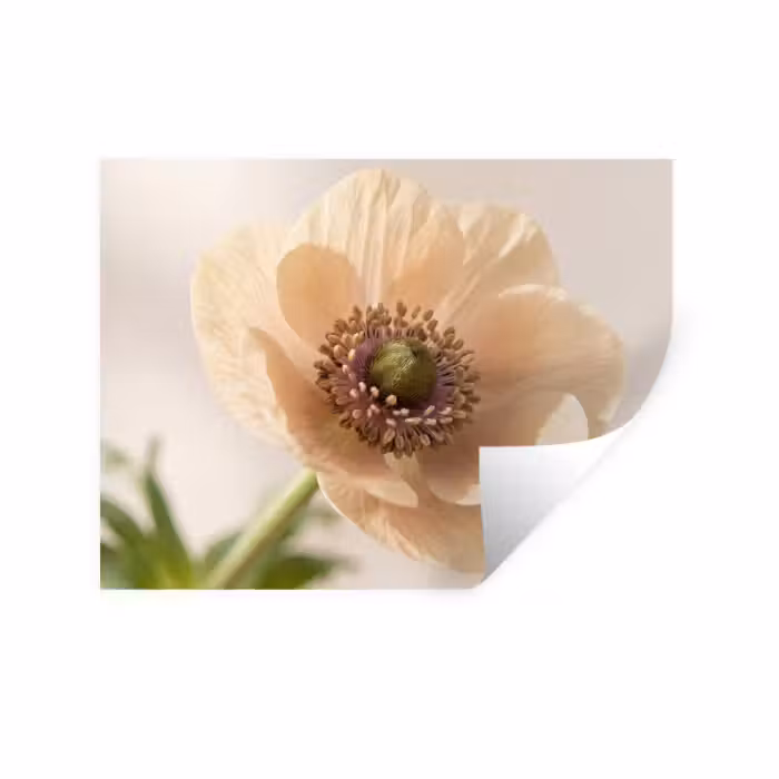 Wandtattoo – Blume - Minimalistisch - Grün