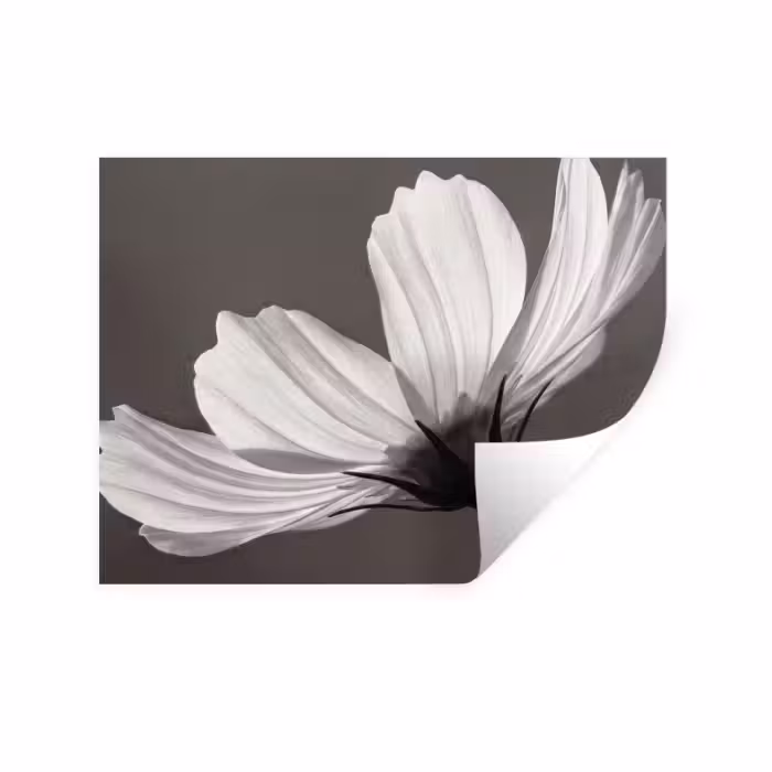 Wandtattoo – Blume - Minimalistisch - Schwarz - Weiß
