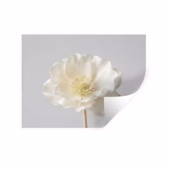 Wandtattoo – Blume - Minimalistisch -Weiß