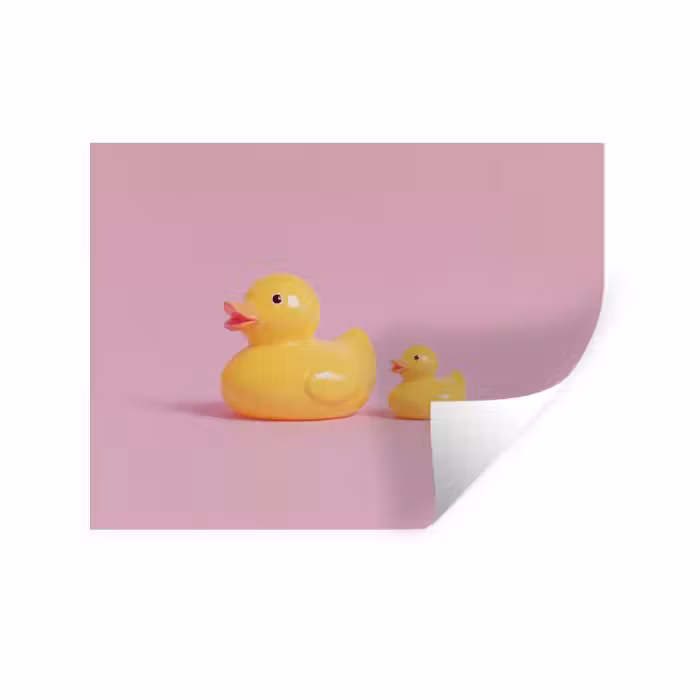 Wandtattoo – Enten - Fröhlich - Rosa