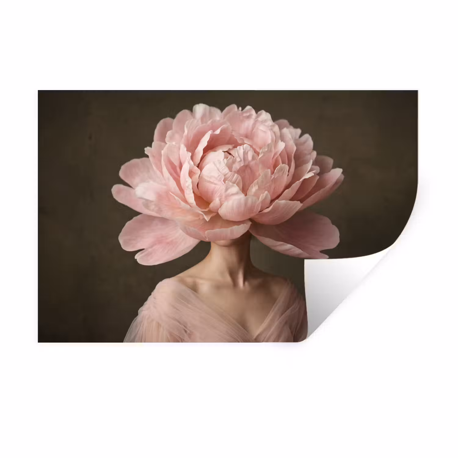 Wandtattoo – Gesicht - Rose - Rosa