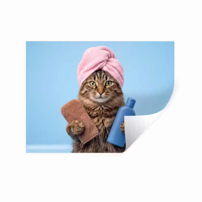 Wandtattoo – Katze - Handtuch - Waschlappen - Seife