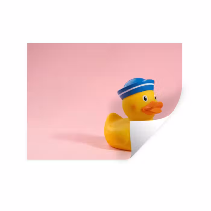 Wandtattoo – Matrose - Ente - Rosa