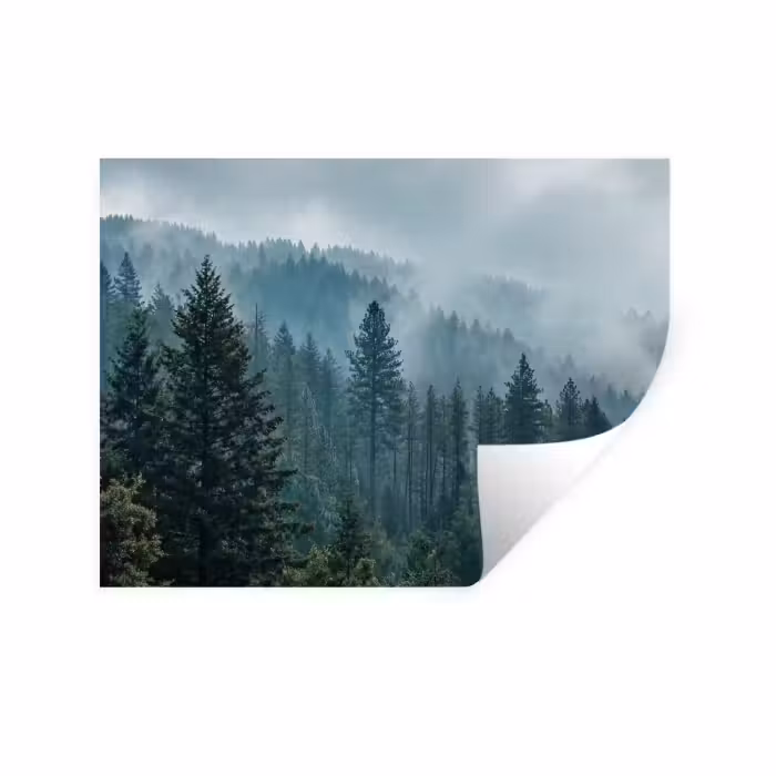 Wandtattoo – Naaldwoud - Bergen - Nebel