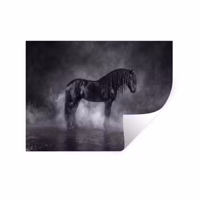 Wandtattoo – Pferd - Magie - Schwarz