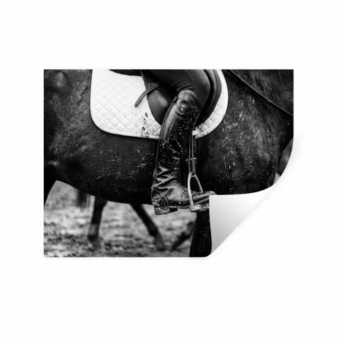 Wandtattoo – Pferd - Sport - Schwarz - Weiß