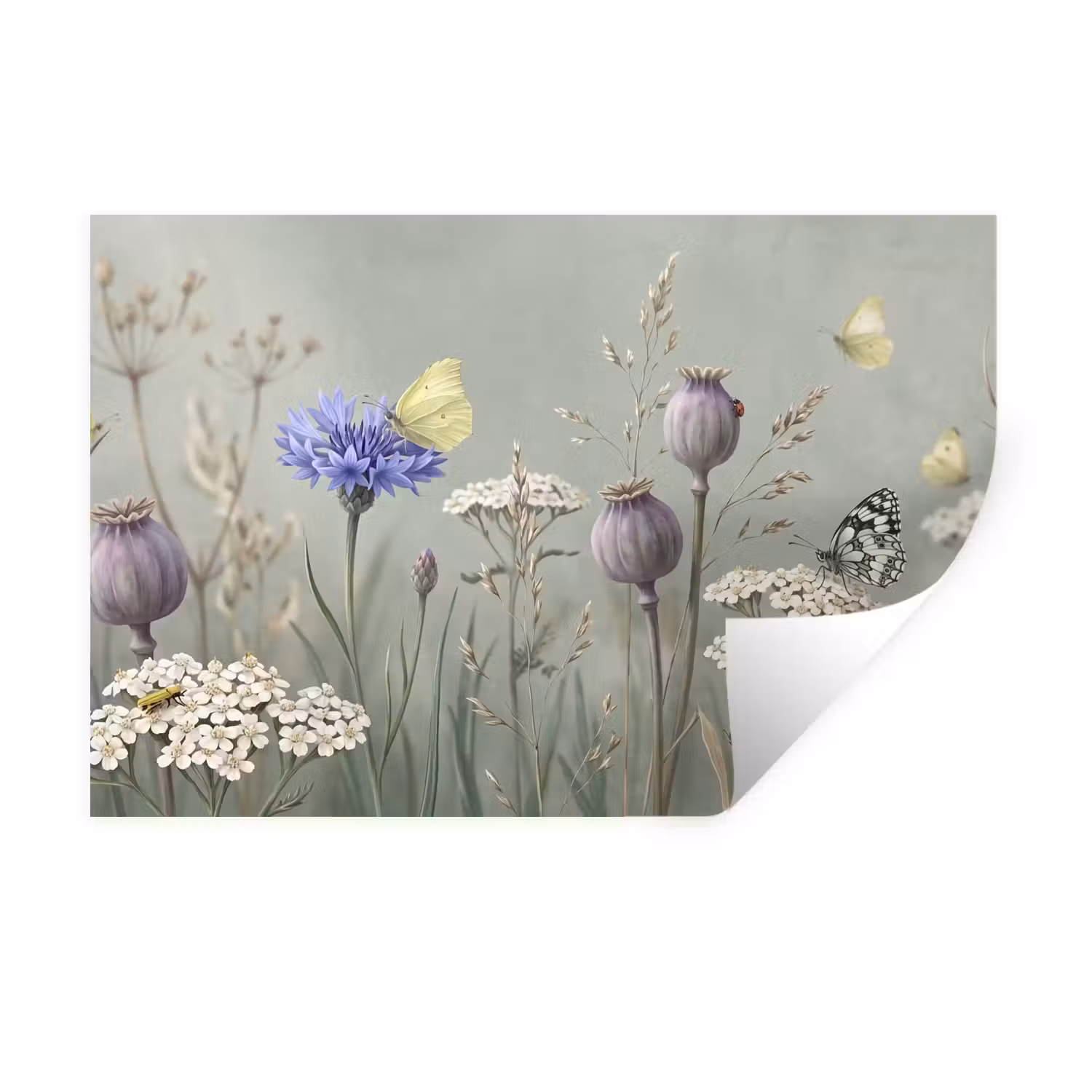 Wandtattoo – Schmetterlinge - Wildblumen - Illustration - Farbenfroh