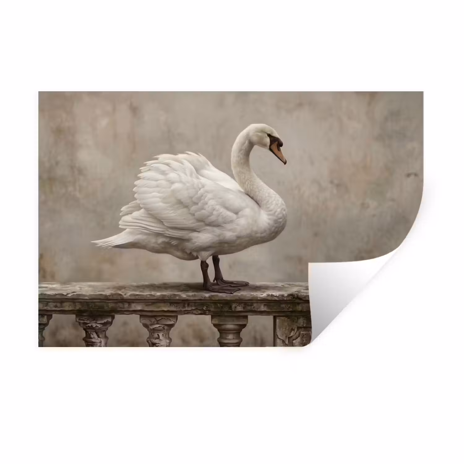 Wandtattoo – Schwan - Elegant - Tiere - Weiß